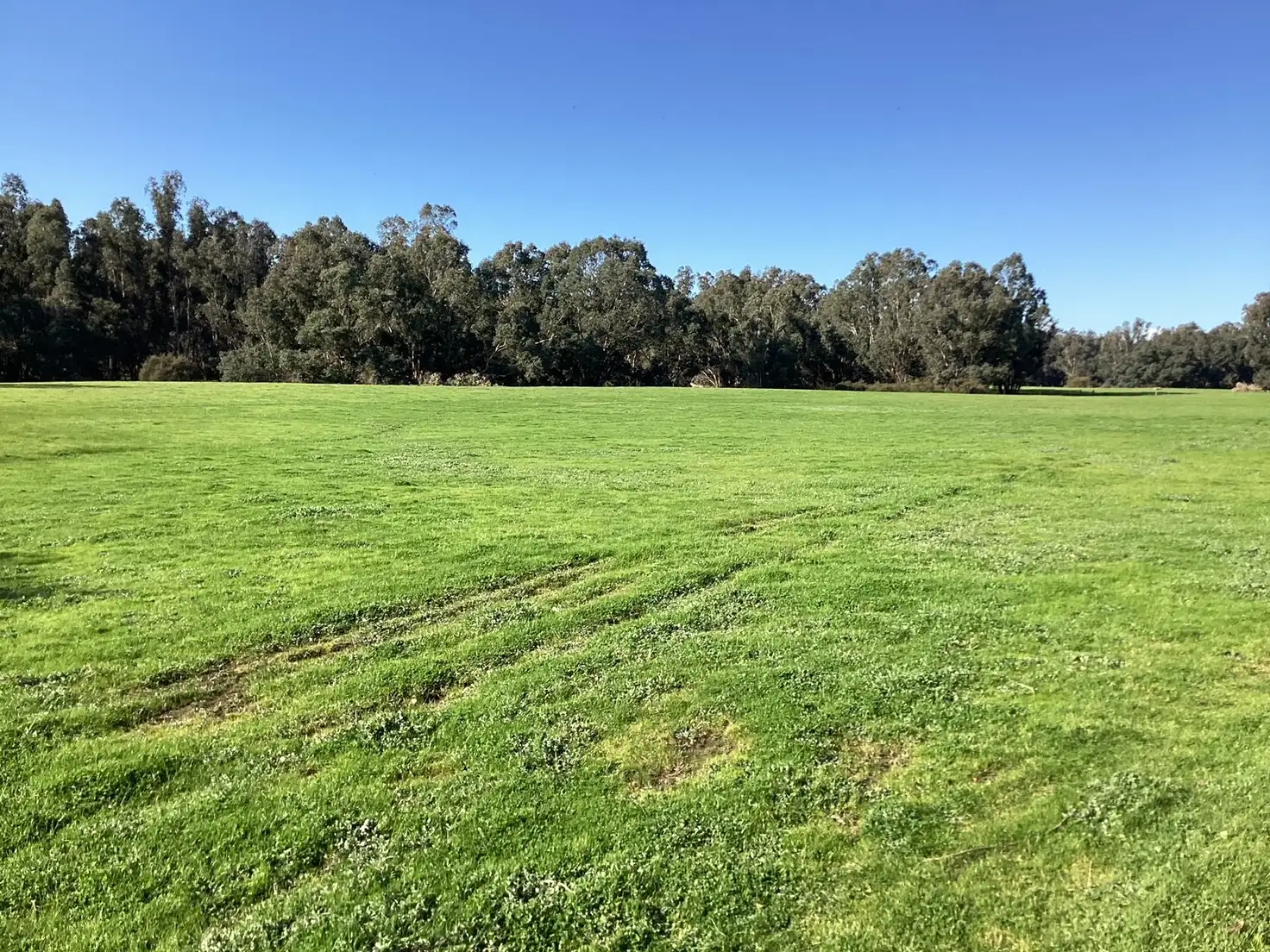 Main view of Homely rural property listing, Lot 8235 Cundinup West Road (Cundinup), Nannup WA 6275