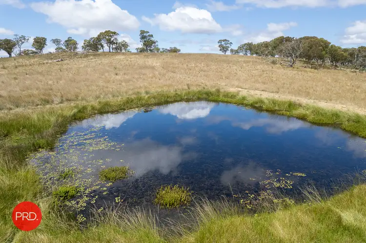 Main view of Homely rural property listing, 2287 Bungendore Road, Tarago NSW 2580