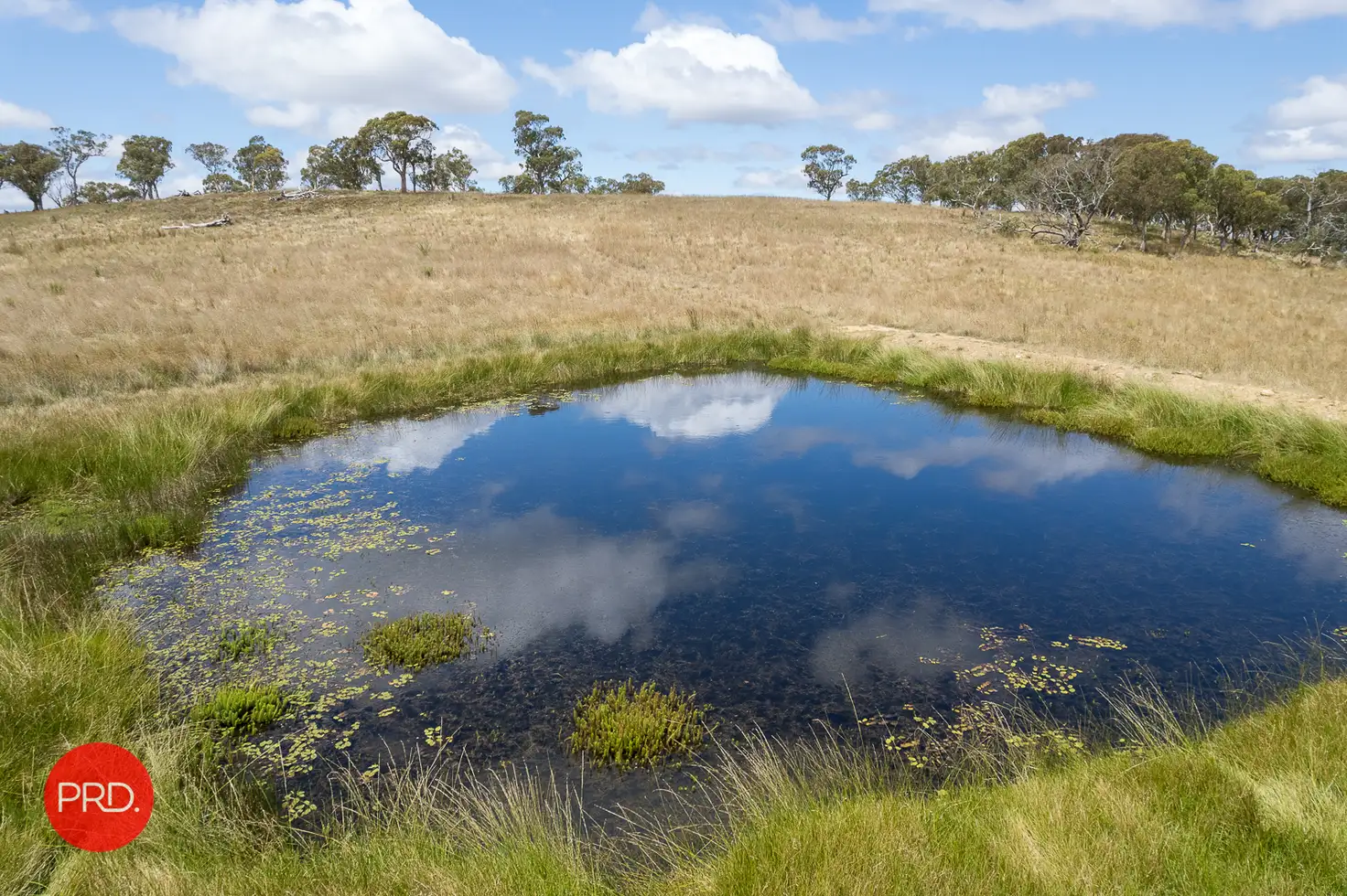 Main view of Homely rural property listing, 2287 Bungendore Road, Tarago NSW 2580