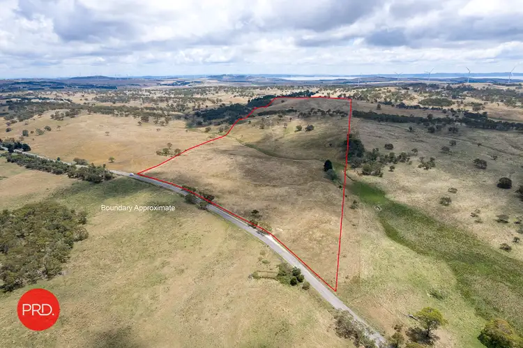 Third view of Homely rural property listing, 2287 Bungendore Road, Tarago NSW 2580