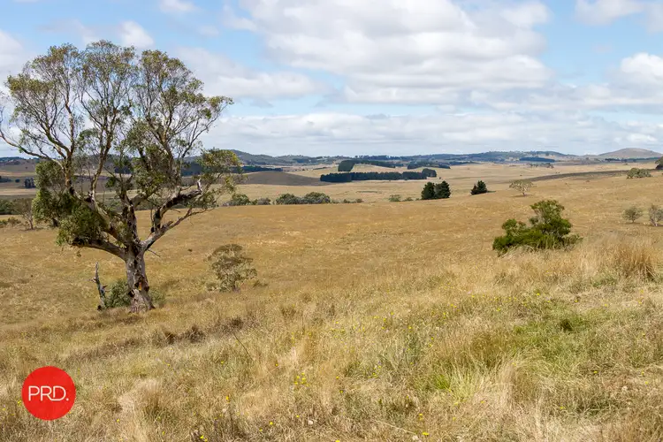Fourth view of Homely rural property listing, 2287 Bungendore Road, Tarago NSW 2580