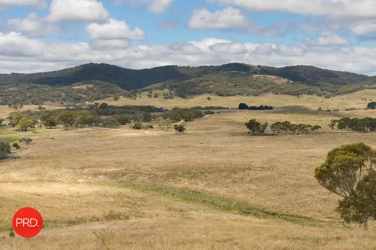 Fifth view of Homely rural property listing, 2287 Bungendore Road, Tarago NSW 2580