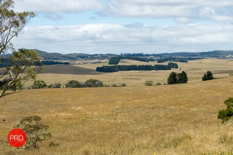 Sixth view of Homely rural property listing, 2287 Bungendore Road, Tarago NSW 2580