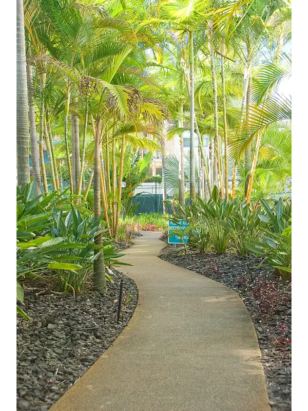 Fifth view of Homely unit listing, 134/7 Redondo Ave, Miami QLD 4220