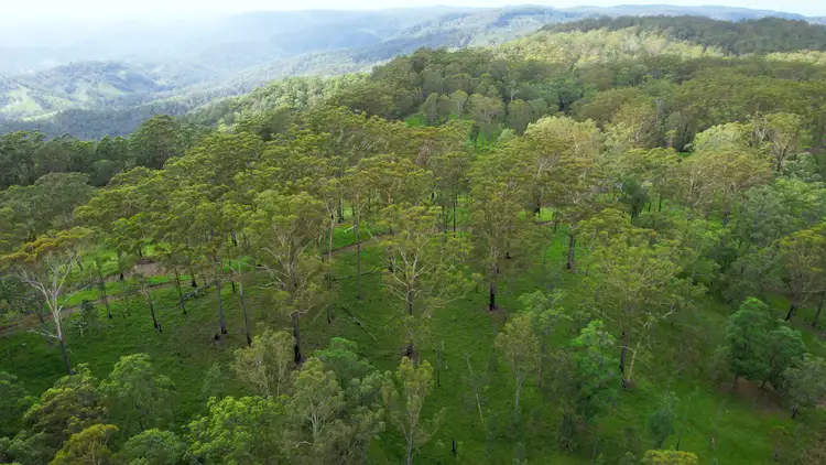 Fifth view of Homely rural property listing, Lot 260 Bellthorpe Road, Conondale QLD 4552