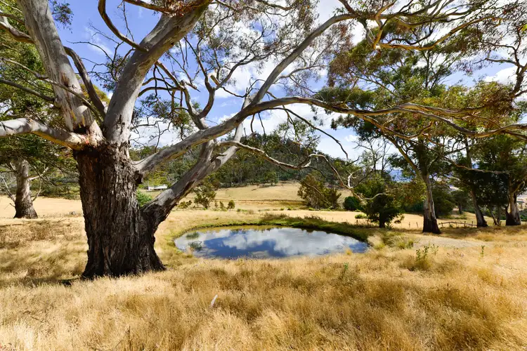 Fourth view of Homely land listing, 17 Garth Lane, Black Hills TAS 7140