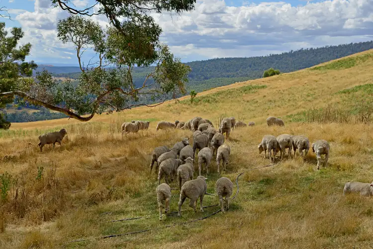 Sixth view of Homely land listing, 17 Garth Lane, Black Hills TAS 7140