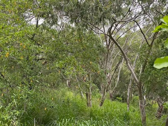 Sixth view of Homely land listing, Lot AH Keswick Island, Mackay QLD 4740