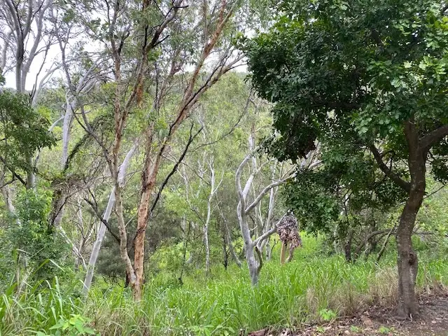 Seventh view of Homely land listing, Lot AH Keswick Island, Mackay QLD 4740