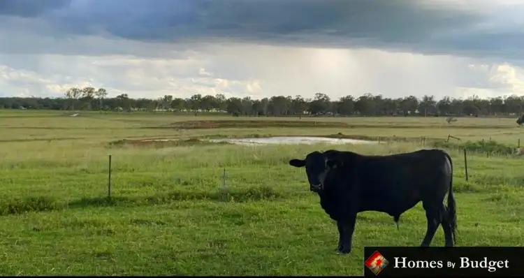 Third view of Homely rural property listing, 409 Kangaroo Yard Road, Wondai QLD 4606