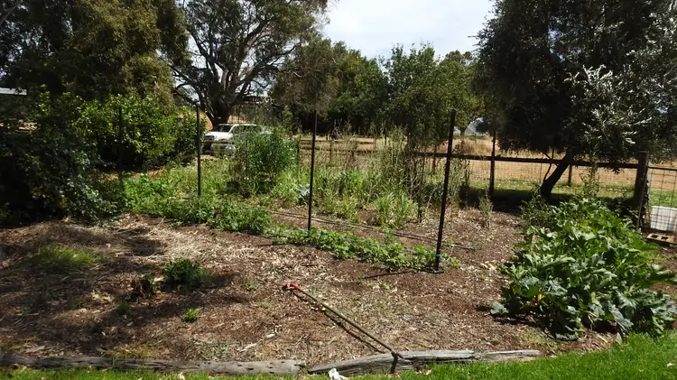 Fourth view of Homely rural property listing, 799 Kaloorup Road, Jindong, Busselton WA 6280
