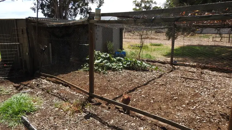 Fifth view of Homely rural property listing, 799 Kaloorup Road, Jindong, Busselton WA 6280
