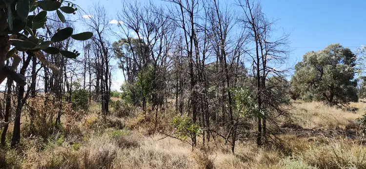Second view of Homely land listing, Lot 27 Surat Developmental Road, Tara QLD 4421