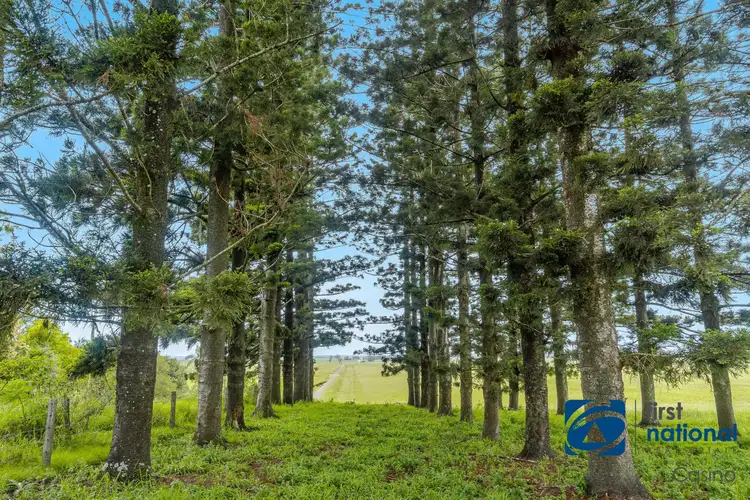 Fifth view of Homely rural property listing, 1304 Caniaba Road, Clovass NSW 2480