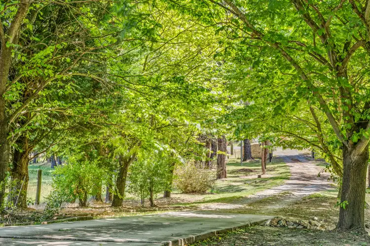 Fourth view of Homely house listing, 136 Reserve Road, Marrangaroo NSW 2790