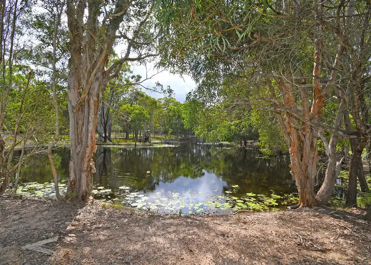 Seventh view of Homely house listing, 71 Condor Drive, Sunshine Acres QLD 4655