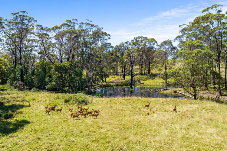 LOT 26, 82 Wagonga Scenic Drive, Narooma NSW 2546