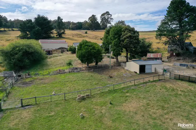 Fifth view of Homely house listing, 43 Feil Road, Mount Lloyd TAS 7140