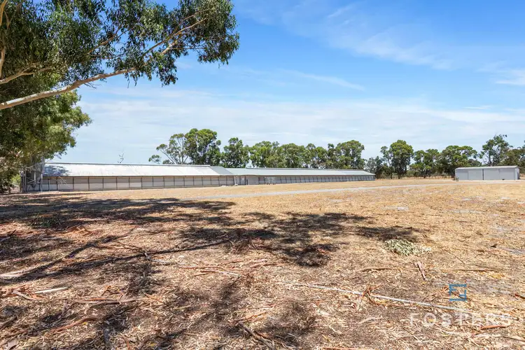 Fifth view of Homely house listing, 1324 Thomas Road, Oakford WA 6121