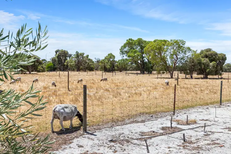 Sixth view of Homely house listing, 1324 Thomas Road, Oakford WA 6121