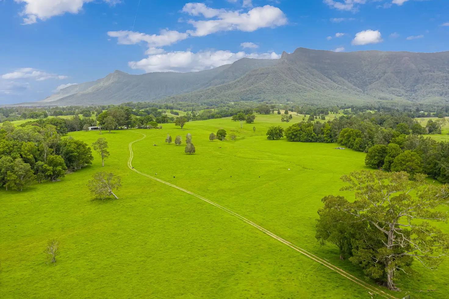 Main view of Homely rural property listing, 52 Kerrs Lane, Pumpenbil NSW 2484