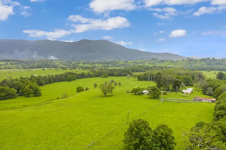 Second view of Homely rural property listing, 52 Kerrs Lane, Pumpenbil NSW 2484
