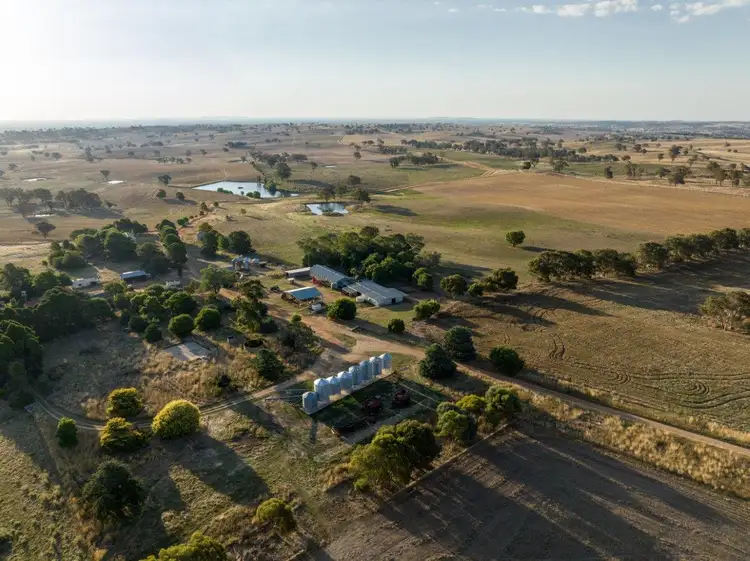 Main view of Homely rural property listing, 'Warranoy', 663 Bibaringa Road, Wallendbeen NSW 2588
