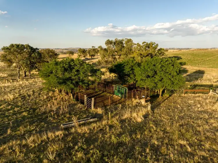 Third view of Homely rural property listing, 'Warranoy', 663 Bibaringa Road, Wallendbeen NSW 2588