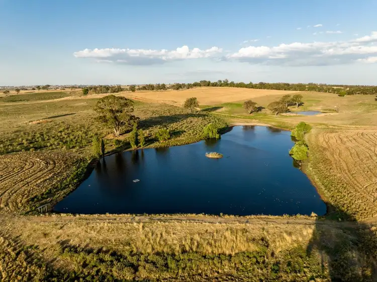 Fifth view of Homely rural property listing, 'Warranoy', 663 Bibaringa Road, Wallendbeen NSW 2588