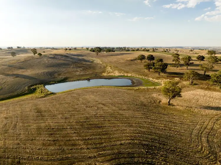 Seventh view of Homely rural property listing, 'Warranoy', 663 Bibaringa Road, Wallendbeen NSW 2588