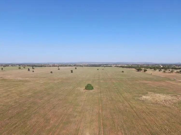 Main view of Homely rural property listing, 'Brigadoon' 916 Talleeban Road, Weethalle NSW 2669