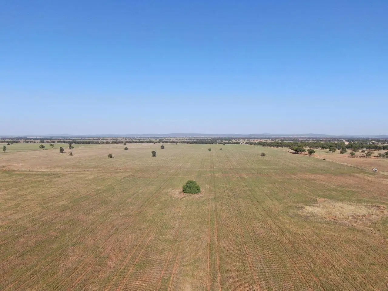 Main view of Homely rural property listing, 'Brigadoon' 916 Talleeban Road, Weethalle NSW 2669