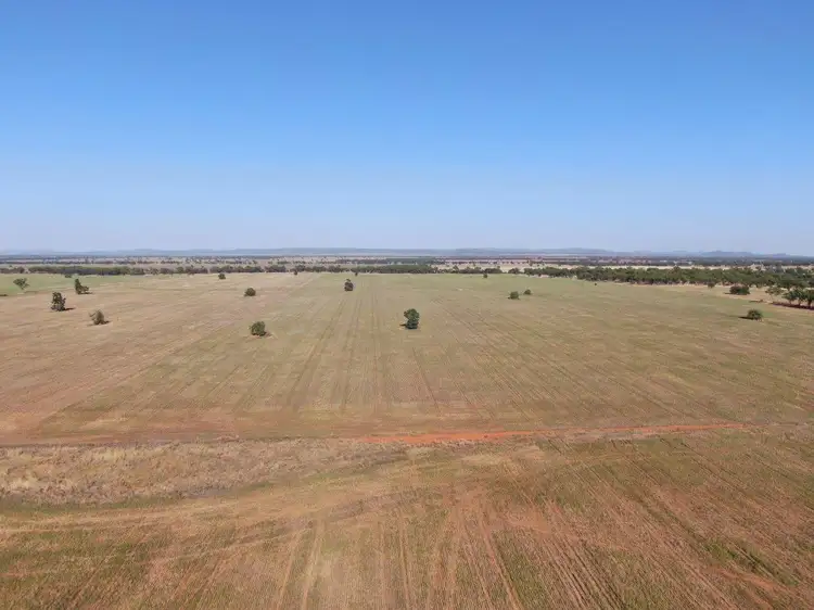 Second view of Homely rural property listing, 'Brigadoon' 916 Talleeban Road, Weethalle NSW 2669