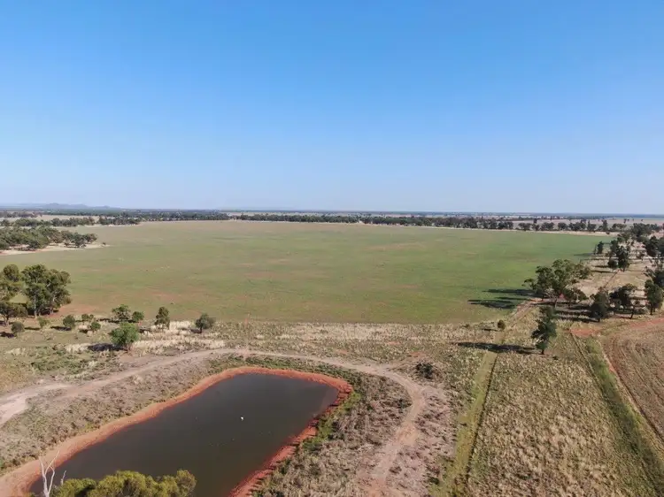 Third view of Homely rural property listing, 'Brigadoon' 916 Talleeban Road, Weethalle NSW 2669