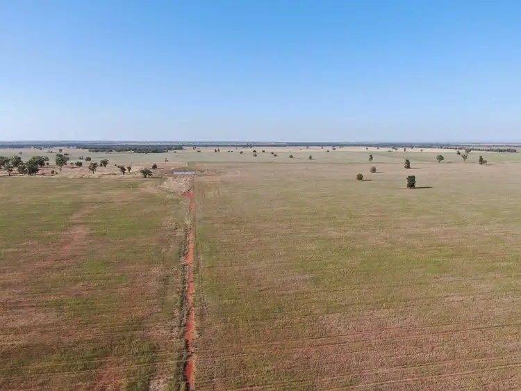 Sixth view of Homely rural property listing, 'Brigadoon' 916 Talleeban Road, Weethalle NSW 2669