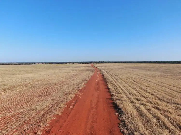 'Part Pine Vale' 309 Clowery Road, Weethalle NSW 2669