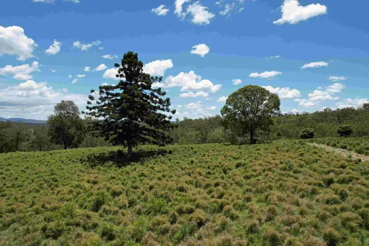 Third view of Homely rural property listing, 0 Woodrows Road, East Cooyar QLD 4353