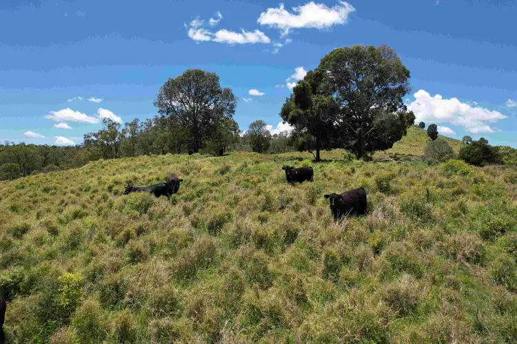 Fifth view of Homely rural property listing, 0 Woodrows Road, East Cooyar QLD 4353