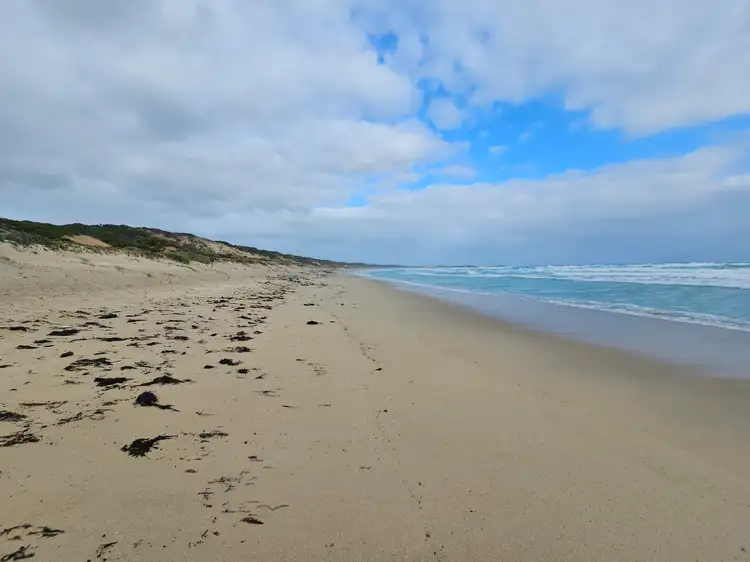 Main view of Homely land listing, Lot 4 Phoques Bay Road, Egg Lagoon TAS 7256