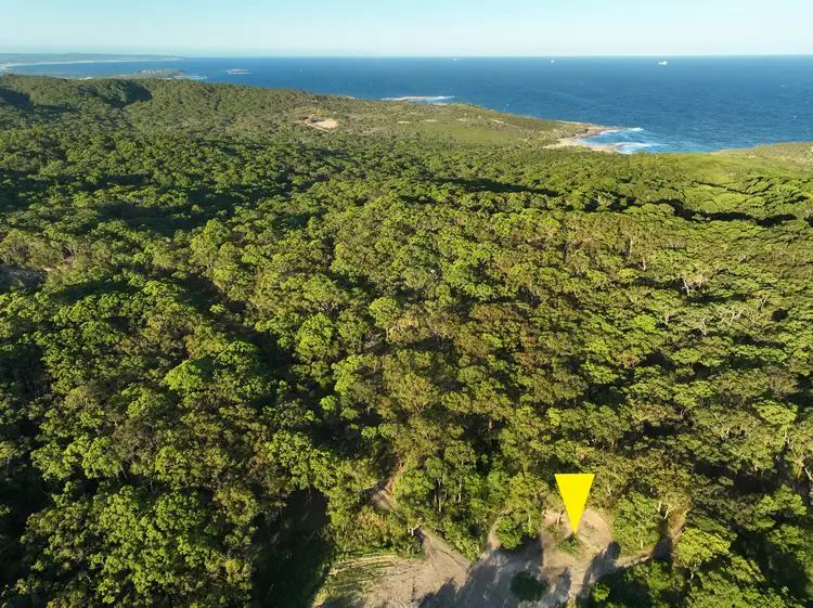 101 Mine Camp Road, Pinny Beach NSW 2281