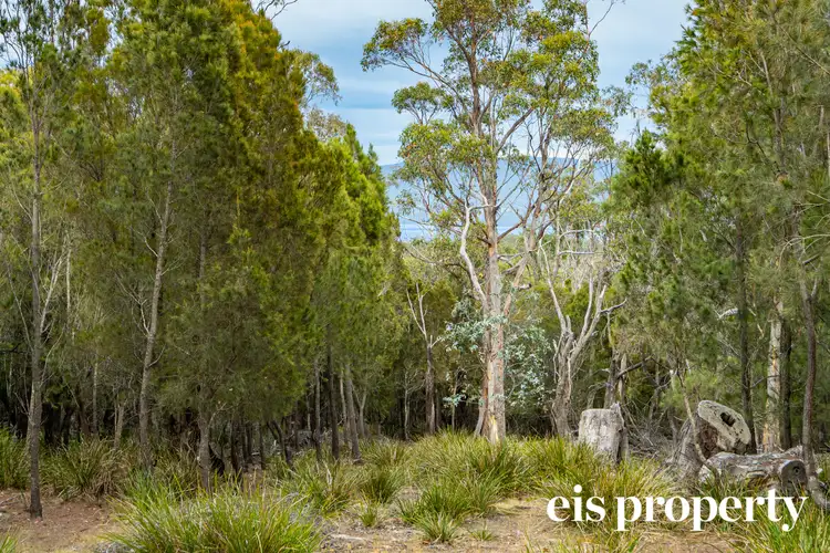 LOT 3, 954 Killora Road, North Bruny TAS 7150