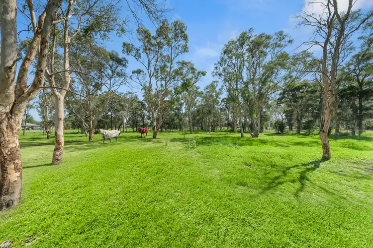 Main view of Homely rural property listing, 19-25 First Road, Berkshire Park NSW 2765