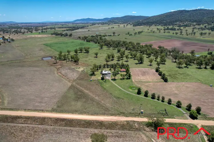 Main view of Homely house listing, 40 Nicholsons Lagoon Road, Quirindi NSW 2343