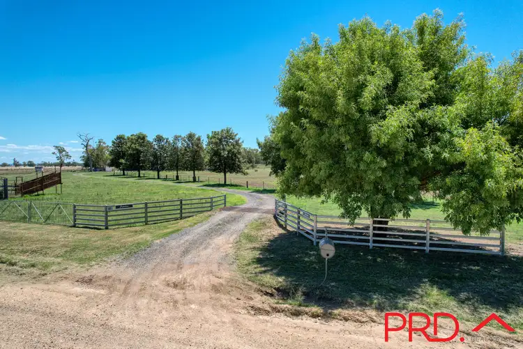 Second view of Homely house listing, 40 Nicholsons Lagoon Road, Quirindi NSW 2343