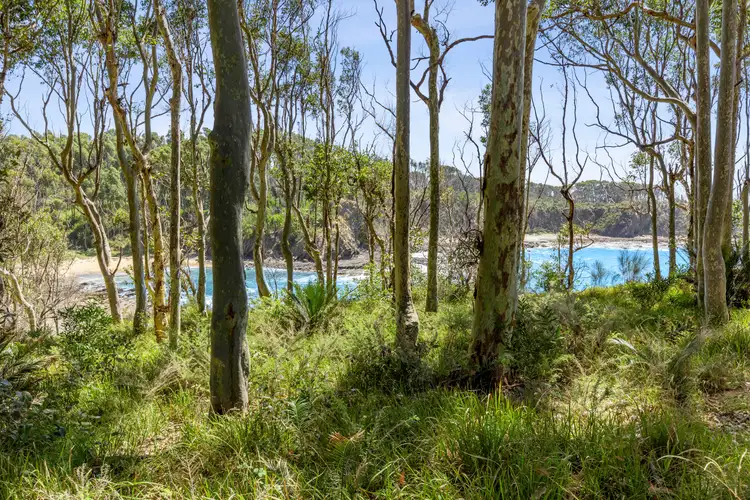 Fourth view of Homely land listing, 68 Yowani Road, Rosedale NSW 2536