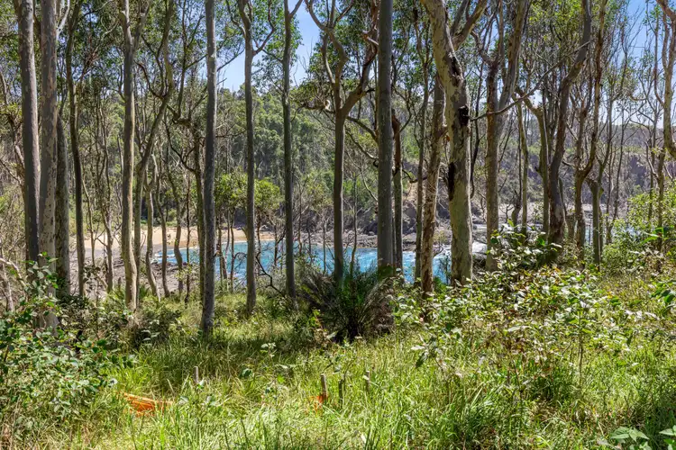 Seventh view of Homely land listing, 68 Yowani Road, Rosedale NSW 2536
