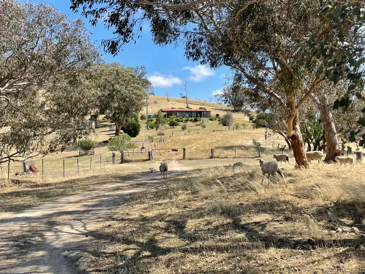Fourth view of Homely house listing, 280 Reno Road, Gundagai NSW 2722