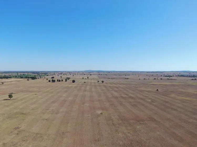 'Belahlee' 316 Clargo Road, Burcher NSW 2671