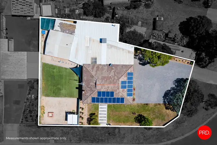 Main view of Homely house listing, 19 Pine Street, Eaglehawk VIC 3556