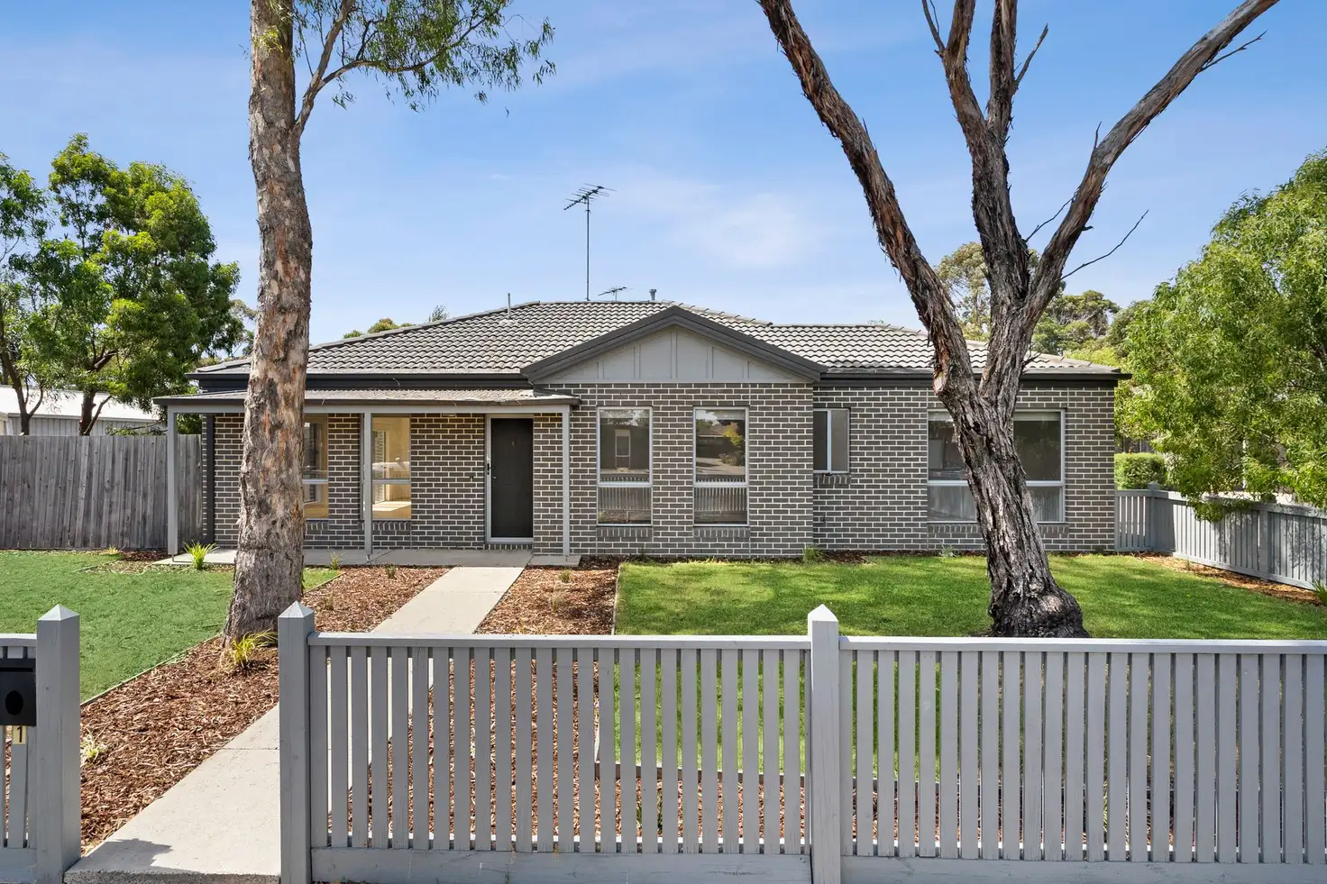 Main view of Homely unit listing, 1/31-33 Helms Street, Newcomb VIC 3219